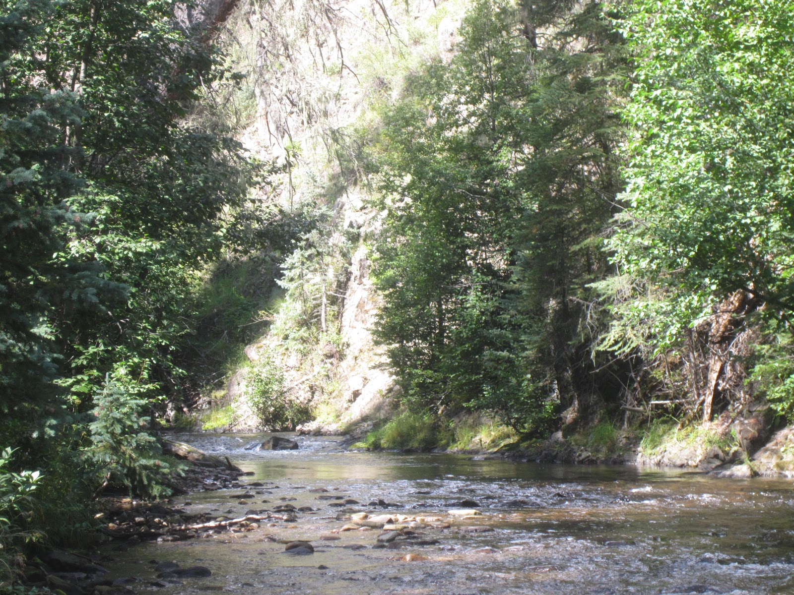 fishing weminuche wilderness area hiking fishing weminuche wilderness area hiking